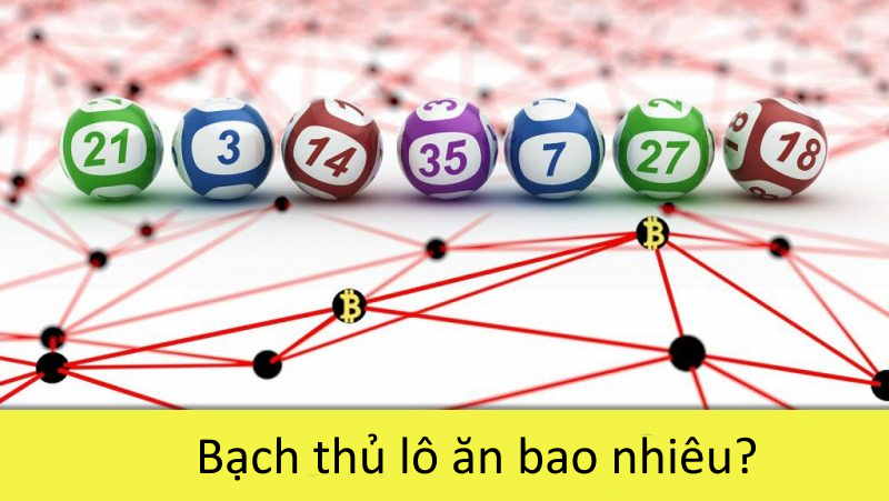 Bạch thủ lô đẹp nhất hôm nay