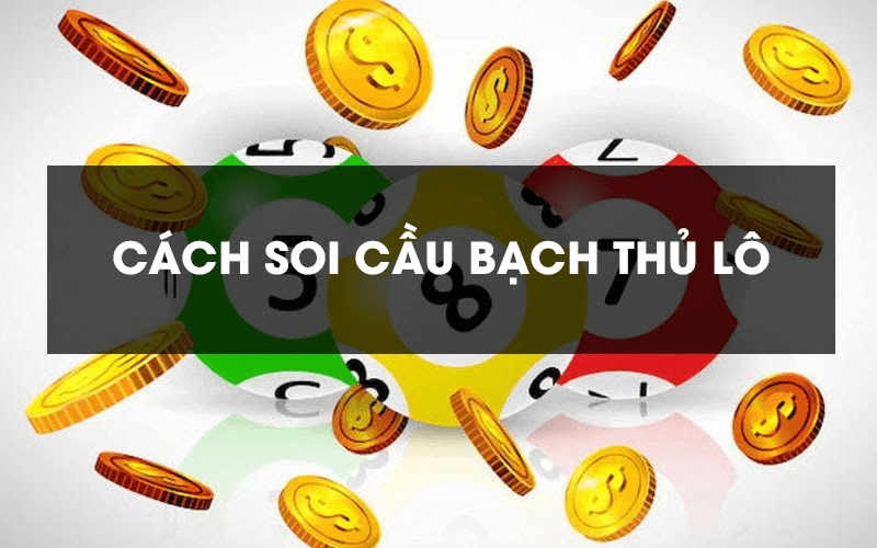 Bạch thủ lô hôm nay