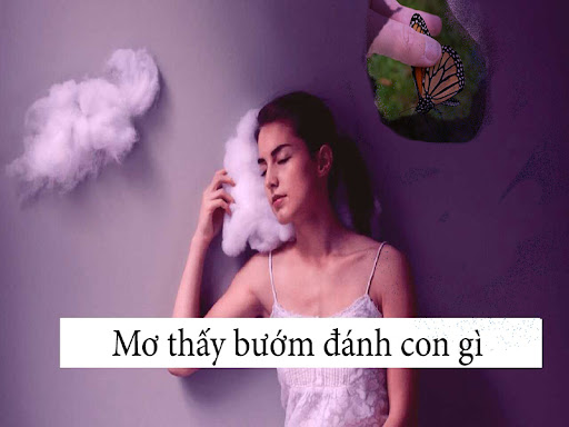 Mơ thấy bướm đánh con gì