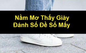 Mơ thấy giày dép đánh con gì