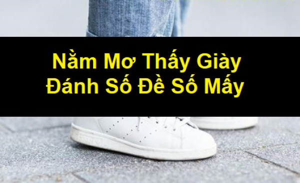 Mơ thấy giày dép đánh con gì