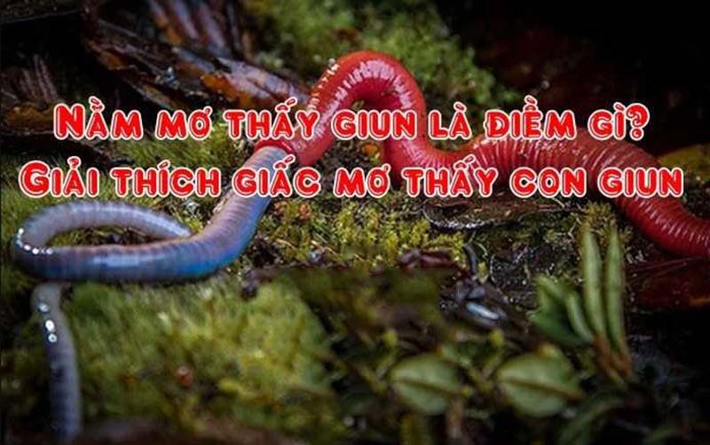 Mơ thấy giun đánh con gì