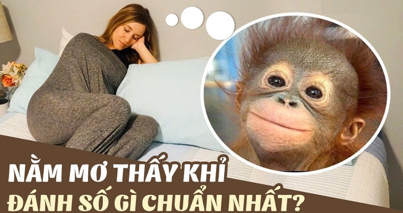 Nằm mơ thấy khỉ đánh con gì