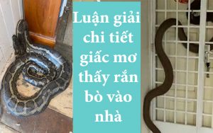 Mơ thấy rắn bò vào nhà