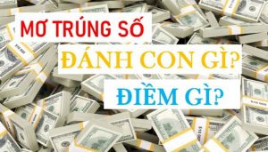 Mơ thấy trúng đề