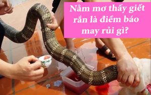 Nằm mơ thấy giết rắn