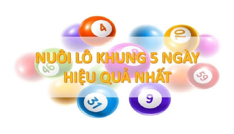 Nuôi lô bạch thủ khung 5 ngày