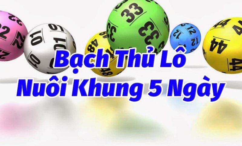 Ưu - nhược điểm của bạch thủ lô khung 5 ngày