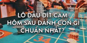 Đầu câm đít câm đánh con gì